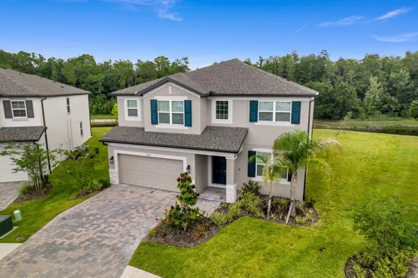 10742 NEW MORNING DR, Tampa, FL 33647