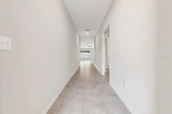 3706 CAT MINT ST, Tampa, FL 33619