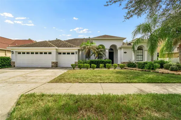 19236 CLIMBING ASTER DR, Tampa, FL 33647
