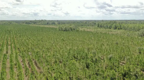 US HWY 441 N, Lake City, FL 32055