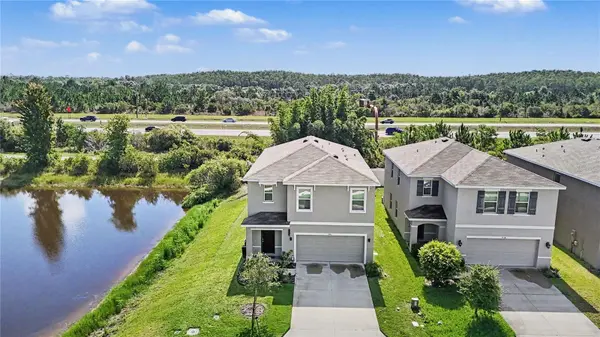 3446 SUNCOAST PLAINS DR, Odessa, FL 33556