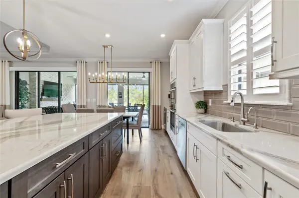 29534 GINNETTO DR, Wesley Chapel, FL 33543