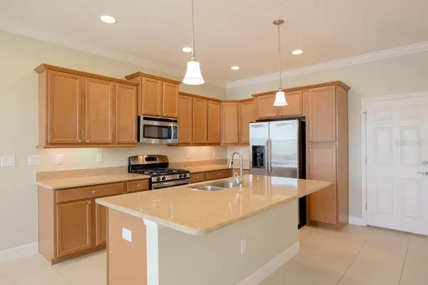 16856 DORMAN RD, Lithia, FL 33547