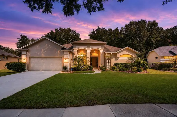 4916 WILLOW RIDGE TER, Valrico, FL 33596