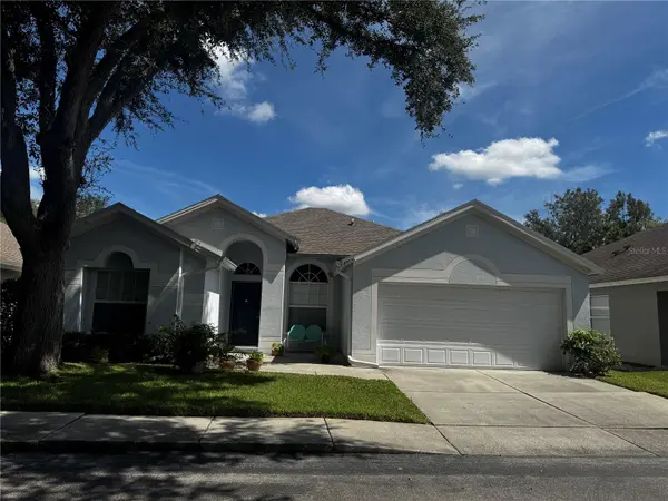 8806 CYPRESS HAMMOCK DR, Tampa, FL 33614
