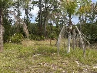 823 PANDORA (BLK 217 LOT 13) DR, Indian Lake Estates, FL 33855