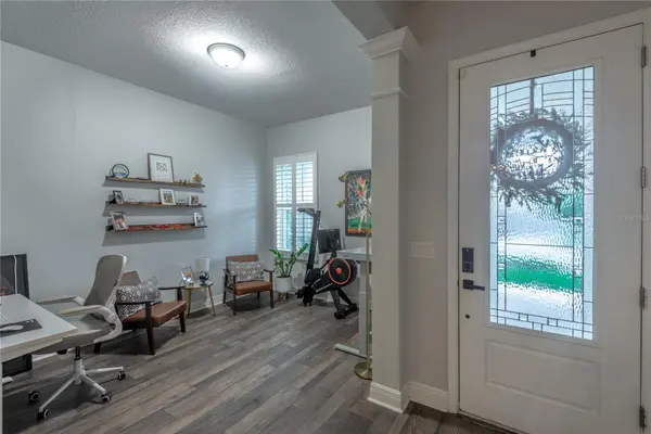 16459 COURTYARD LOOP, Land O Lakes, FL 34638