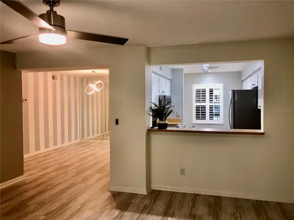 3399 MERMOOR DR #206, Palm Harbor, FL 34685