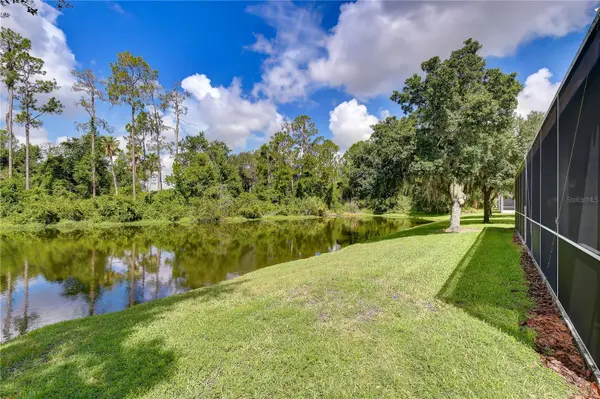 3332 CHAPEL CREEK CIR, Wesley Chapel, FL 33544