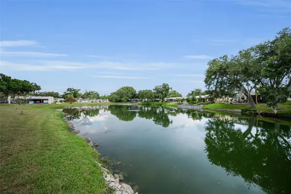 3097 MISSION GROVE DR, Palm Harbor, FL 34684