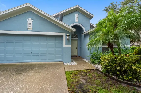 3306 PIN OAK LN, Tampa, FL 33618