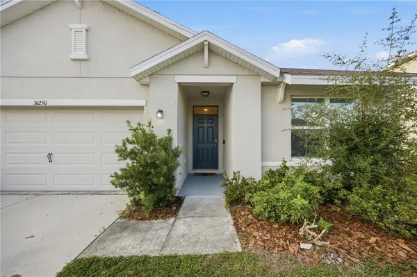 36250 JENNY LYNNE DR, Zephyrhills, FL 33541