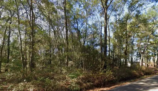 IAMONIA LANDING RD, Tallahassee, FL 32312