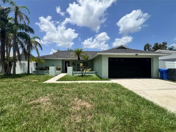 10902 WINGATE DR, Tampa, FL 33624