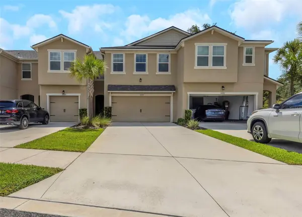 14203 DAMSELFLY DR, Tampa, FL 33625
