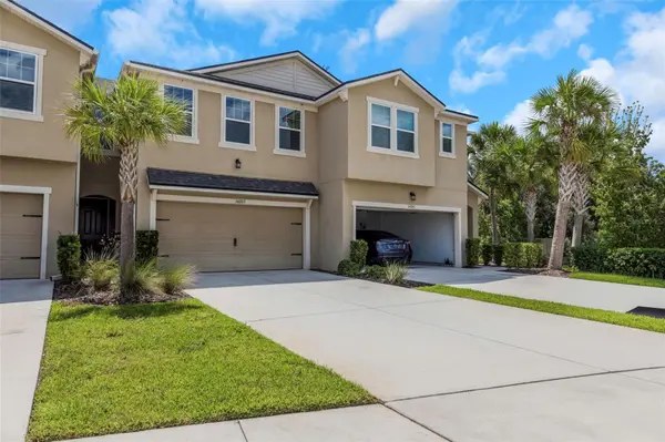 14203 DAMSELFLY DR, Tampa, FL 33625