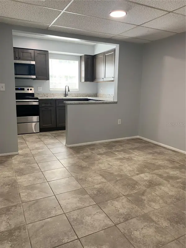 14402 REUTER STRASSE CIR ##2, Tampa, FL 33613