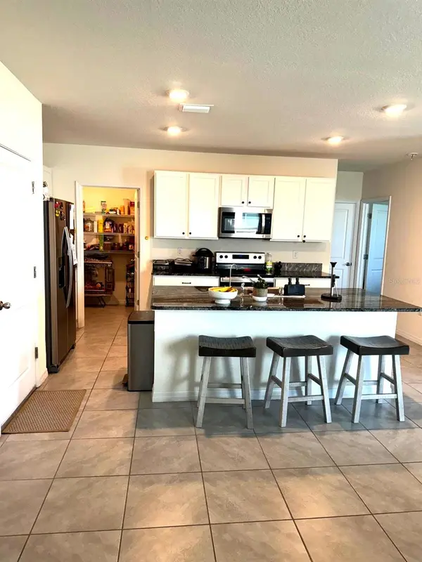 10570 PENNY GALE LOOP, San Antonio, FL 33576