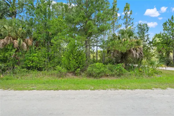 RAMSEY RD #16, Weeki Wachee, FL 34614