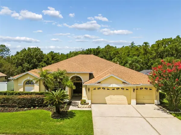 10111 KINGSHYRE WAY, Tampa, FL 33647