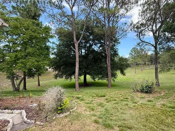 2232 SPRINGMEADOW DR, Spring Hill, FL 34606