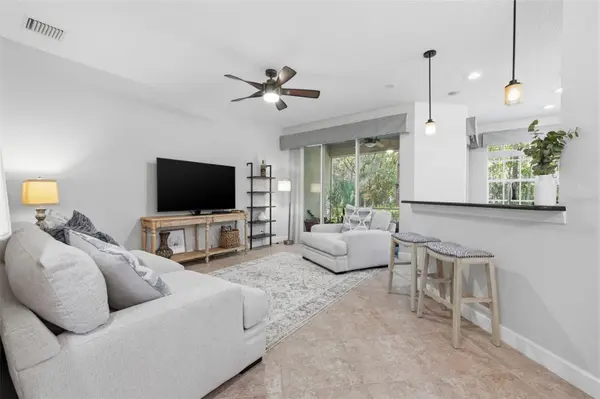14613 MIRABELLE VISTA CIR, Tampa, FL 33626