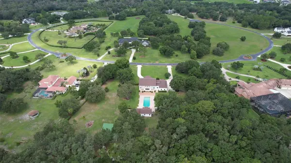 11444 HAMMOCK OAKS CT, Lithia, FL 33547