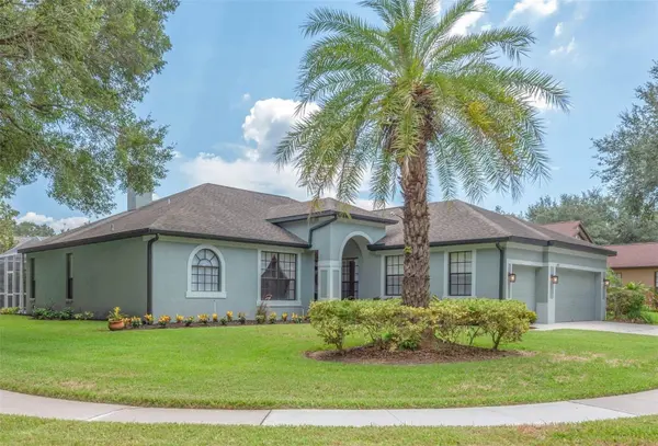2219 LONGMORE CIR, Valrico, FL 33596