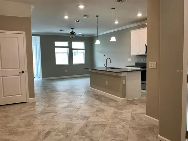 18672 NOBLE CASPIAN DR, Lutz, FL 33558