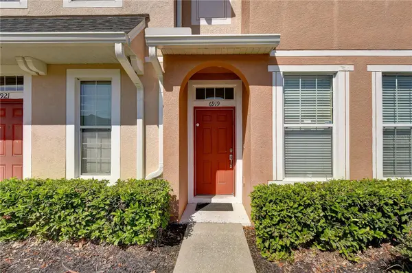 6919 TOWERING SPRUCE DR, Riverview, FL 33578