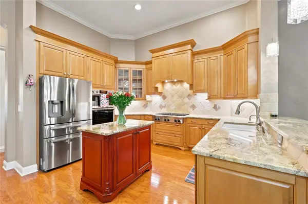 7049 TIMBER RIDGE WAY, Land O Lakes, FL 34637