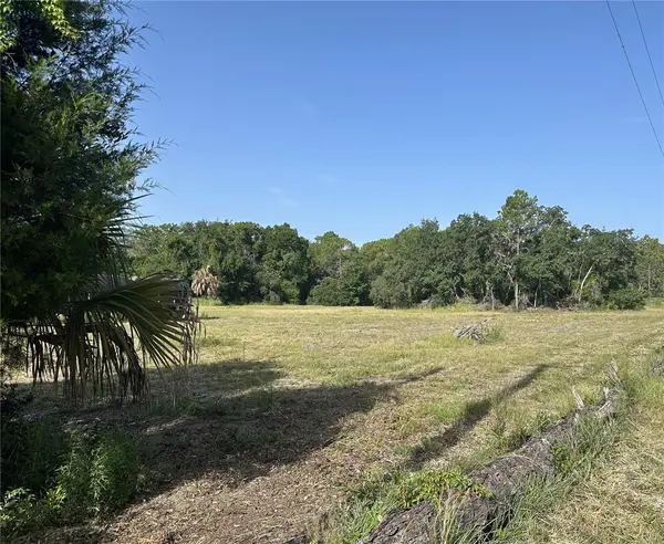 11360 S FLORIDA AVE, Floral City, FL 34436