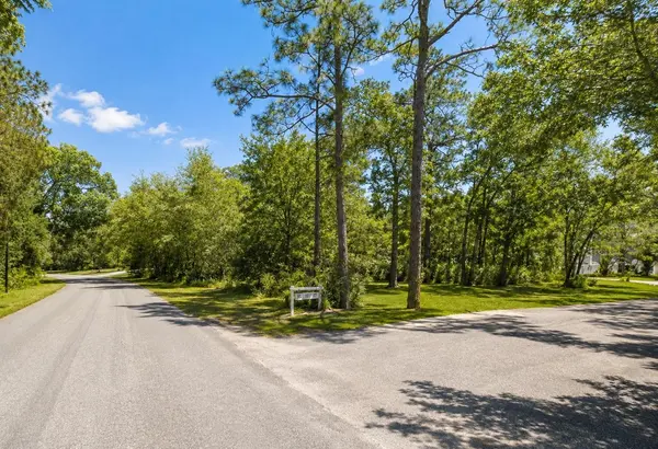 SEAGRAPE ST, Homosassa, FL 34446