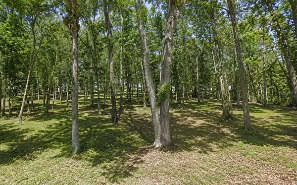 OAKDALE AVE, Brooksville, FL 34601