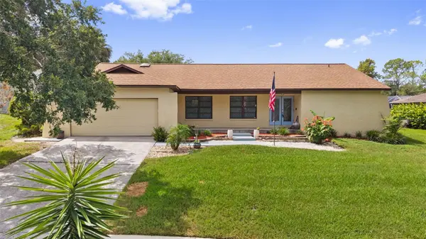 2311 LONG GREEN CT, Valrico, FL 33596
