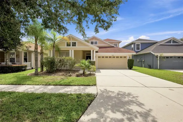 7806 GRASMERE DR, Land O Lakes, FL 34637