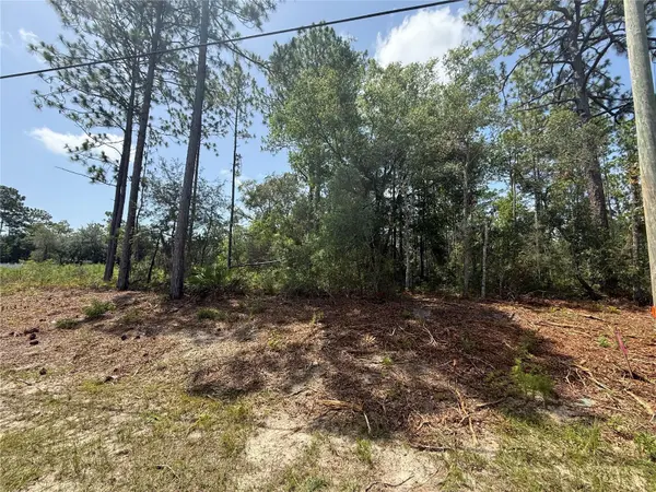 7069 N SANTOS DR, Citrus Springs, FL 34434