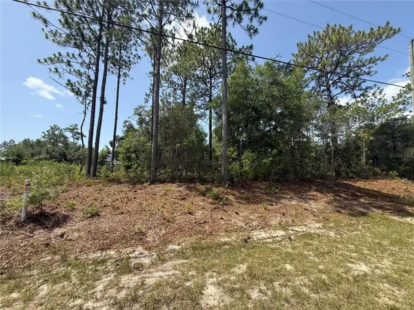 7069 N SANTOS DR, Citrus Springs, FL 34434