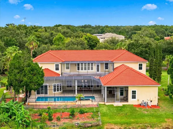 19402 JACOBS RIVER RUN, Lutz, FL 33559