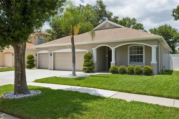 12816 CATTAIL SHORE LN, Riverview, FL 33579