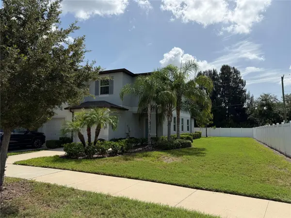4503 GLOBE THISTLE DR, Tampa, FL 33619