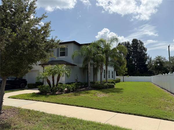 4503 GLOBE THISTLE DR, Tampa, FL 33619
