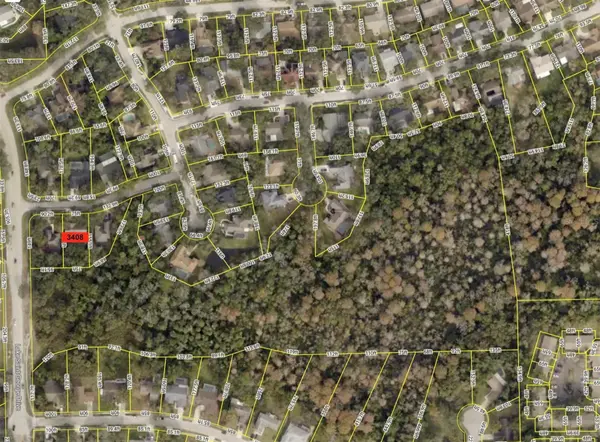 3408 ARCADIA DR, Palm Harbor, FL 34684
