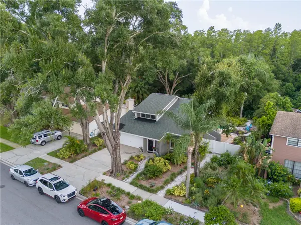 4712 DEERWALK AVE, Tampa, FL 33624