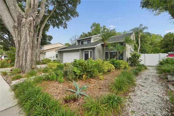 4712 DEERWALK AVE, Tampa, FL 33624