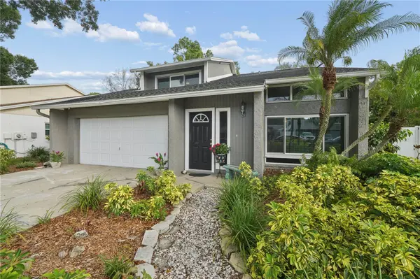 4712 DEERWALK AVE, Tampa, FL 33624