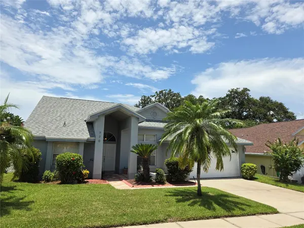 770 WILDFLOWER DR, Palm Harbor, FL 34683