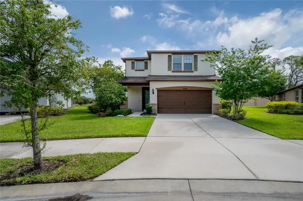 9310 BLUEBERRY ASH CIR, Riverview, FL 33578
