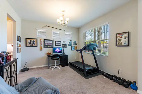 11420 AMAPOLA BLOOM CT, Riverview, FL 33579