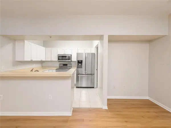 5125 PALM SPRINGS BLVD #2206, Tampa, FL 33647